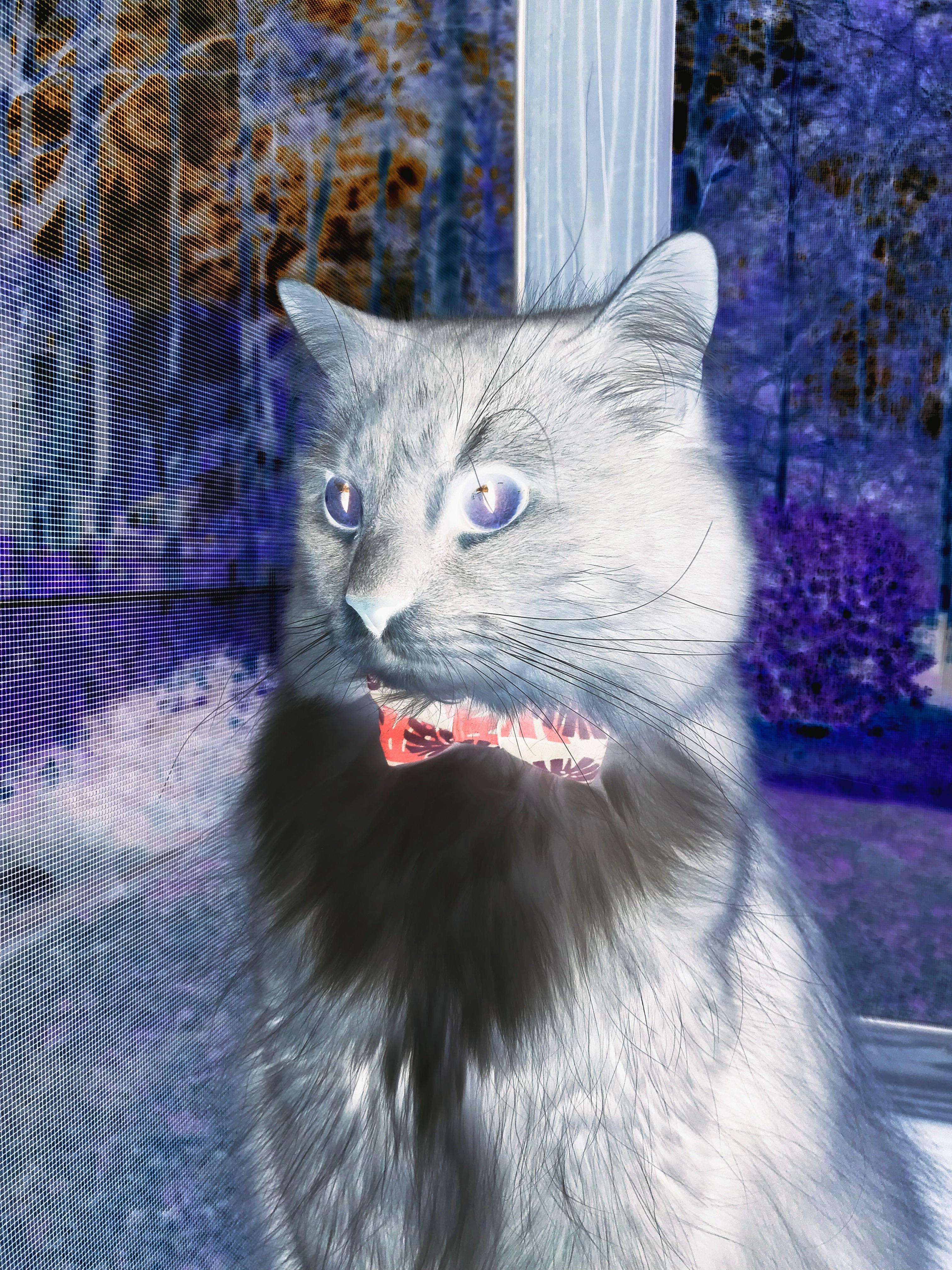 开云娱乐官网-德甲激烈竞争，数据揭示战术变革推动攻守平衡的核心路径，德甲格局