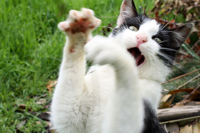 开云集团中国官网-曼联2-1战胜曼城，捧起2024年足总杯，曼联2比4